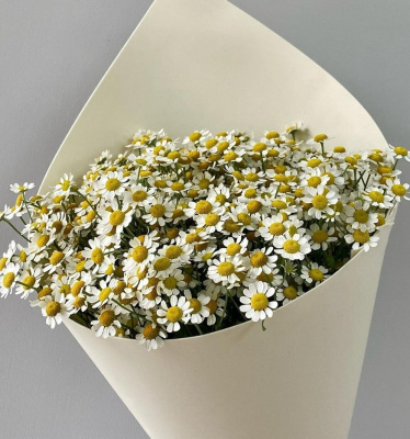 Букет моно с танацетум