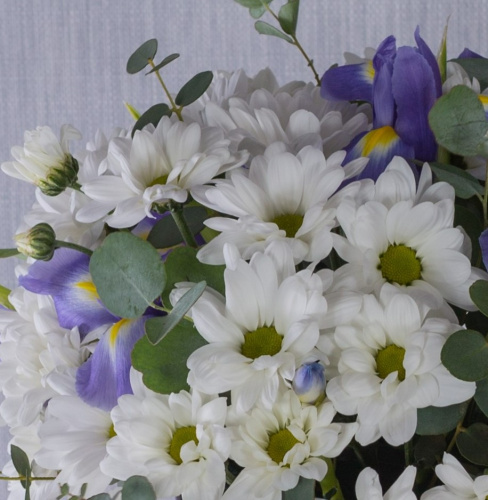 Коробка с цветами "Девчата" №36147 с хризантемой