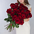 Букет из 25 красных высоких роз Эквадор 80 см