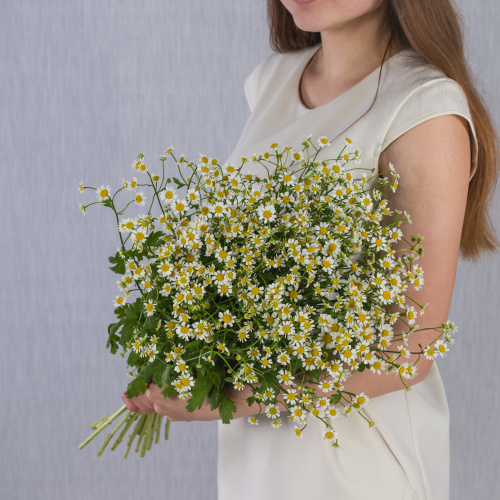 Букет "Счастливая семья" с ромашками танацетум 50581 Букет "Счастливая семья" с ромашками танацетум 50581
