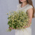 Букет "Счастливая семья" с ромашками танацетум 50581 Букет "Счастливая семья" с ромашками танацетум 50581