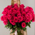 Букет из 51 розовой розы Эквадор 60 см.