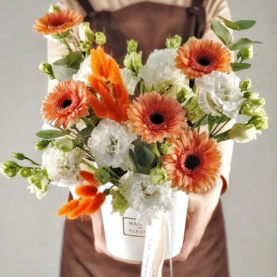 Композиция" Солнечное утро" с гермини