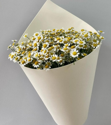 Букет моно с танацетум