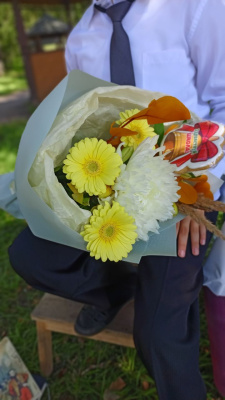 букет" Первоклашка" с гермини