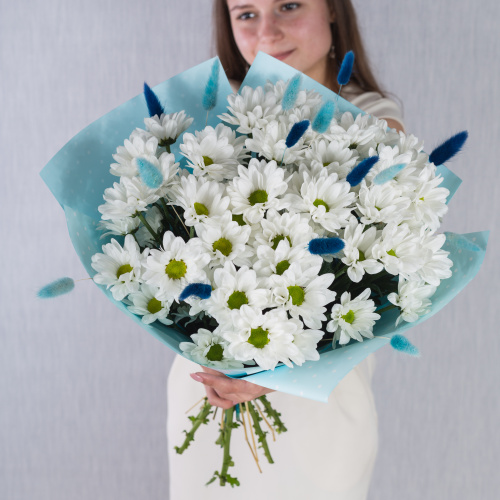 Букет 7 кустовых хризантем с лагурусом 35810