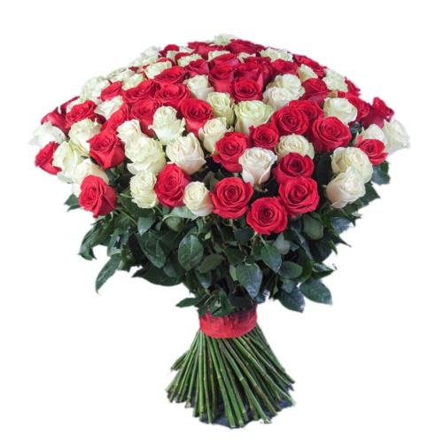 Букет из 51 красной и белой розы 80СМ