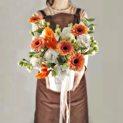 Композиция" Солнечное утро" с гермини