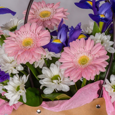 Сумочка с гермини и ирисами "Неженка" 52754Дв