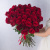 Букет из 51 красной высокой розы Эквадор 80 см.