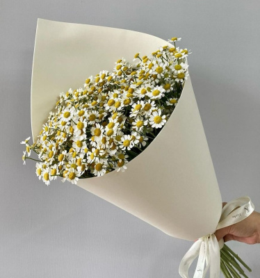 Букет моно с танацетум