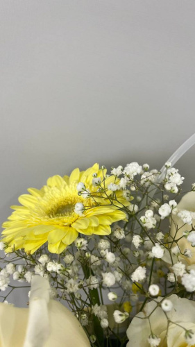 Композиция в сумочке с гермини "Маленькая страна" Композиция в сумочке с гермини "Маленькая страна"